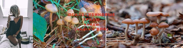 героин Богородицк
