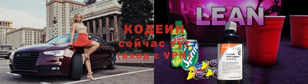 гашик Богданович