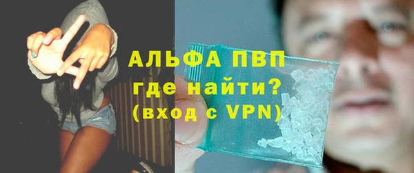 гашик Богданович