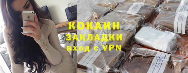 стаф Бородино