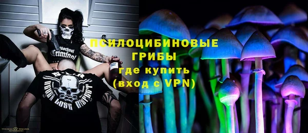 PSILOCYBIN Бронницы