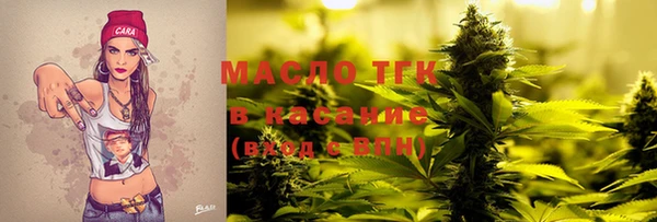 стаф Бородино