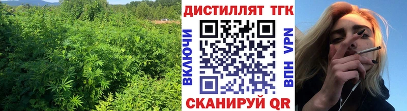 где найти наркотики  Астрахань  нарко площадка официальный сайт  Дистиллят ТГК Wax  мега онион 