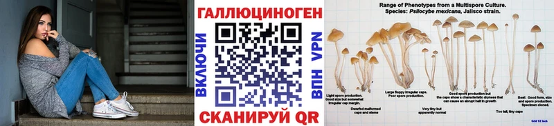 Галлюциногенные грибы мухоморы  купить наркотик  Астрахань 